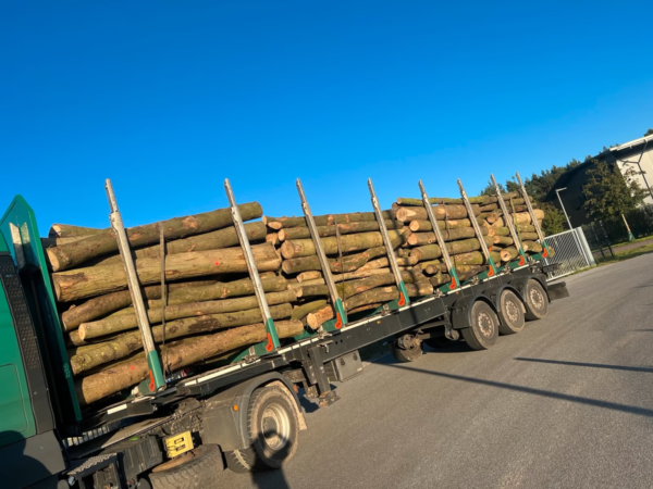 Stammholz – Hartholzmix - Image 3