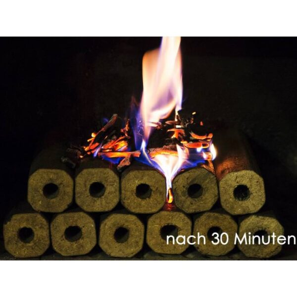 PINI KAY Buchenholzbriketts Premium 480kg - Image 8